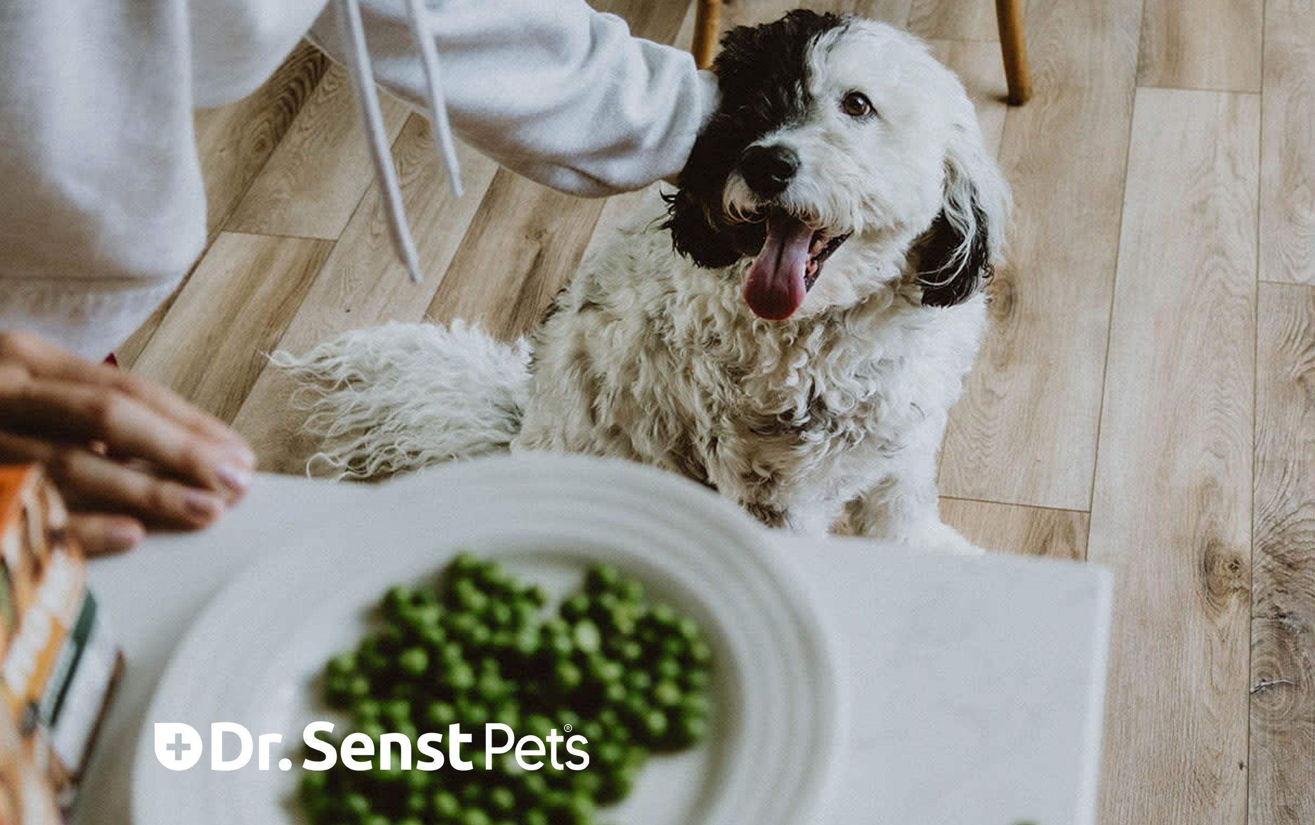 can dogs eat peas