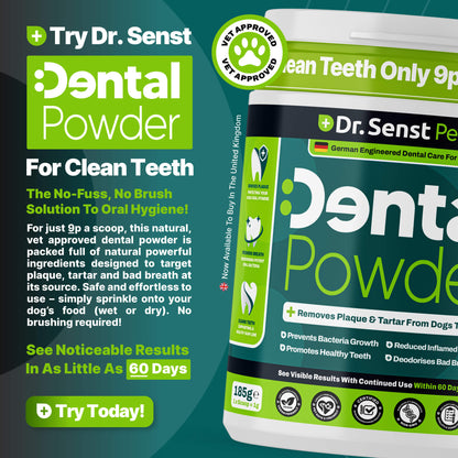 dog teeth cleaning products