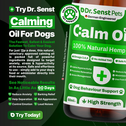 dog hemp oil