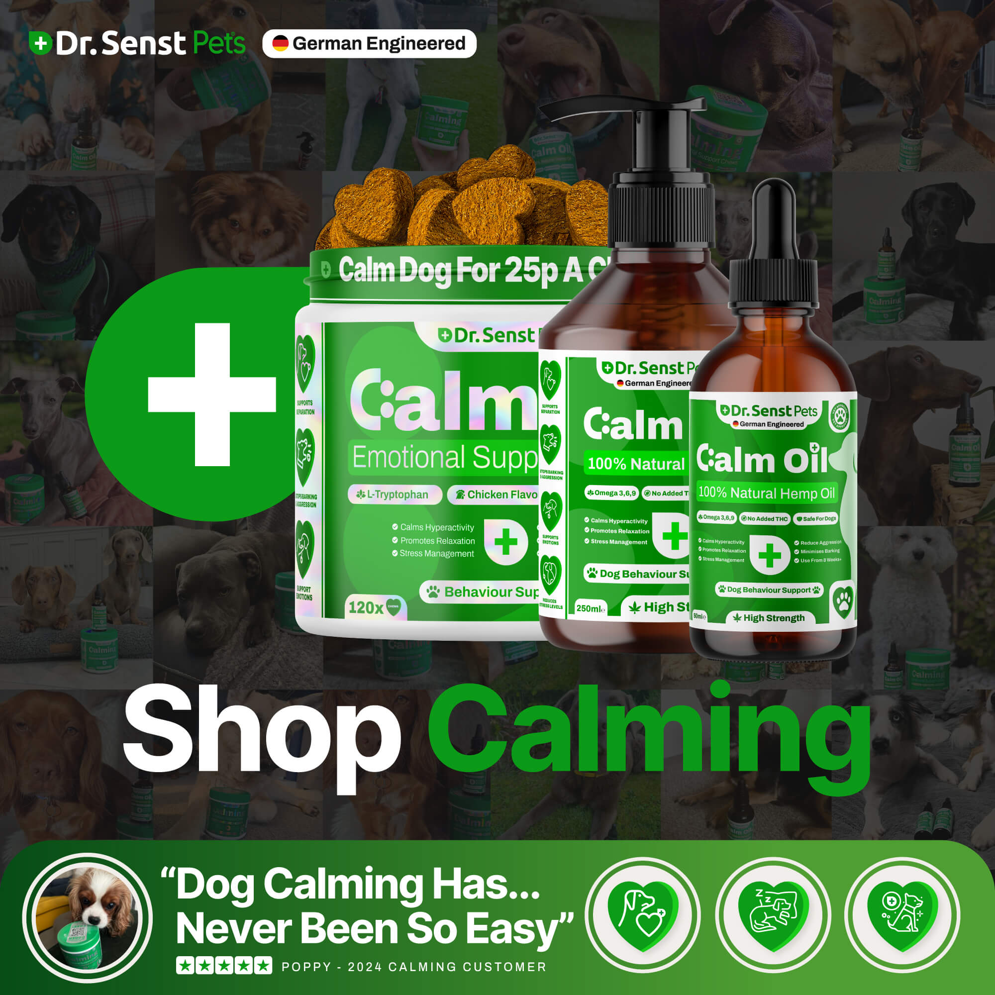 dog calming drops for anxiety