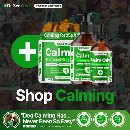 dog calming drops for anxiety