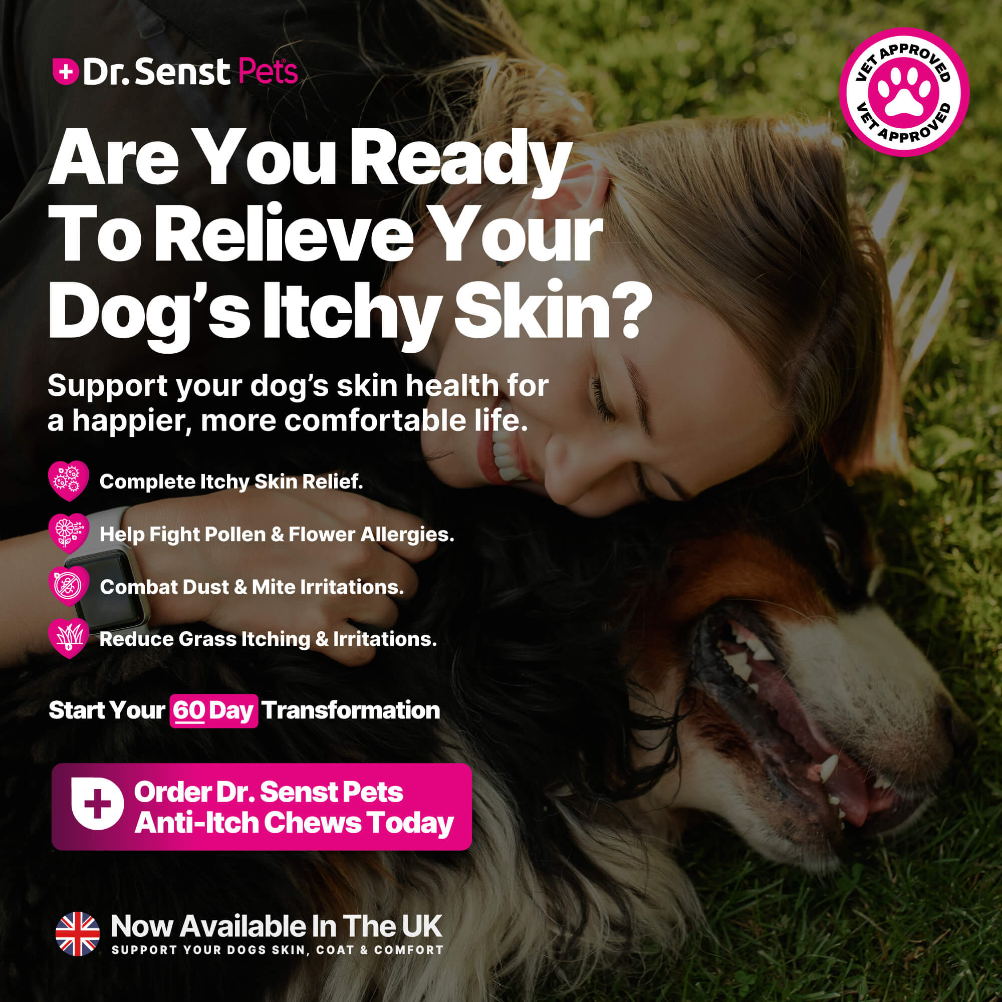 itchy skin dog remedies