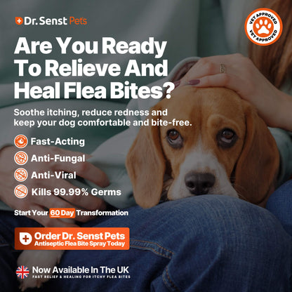 flea and tick spray for dogs