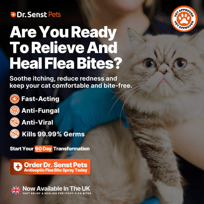 cat flea spray to put on cats