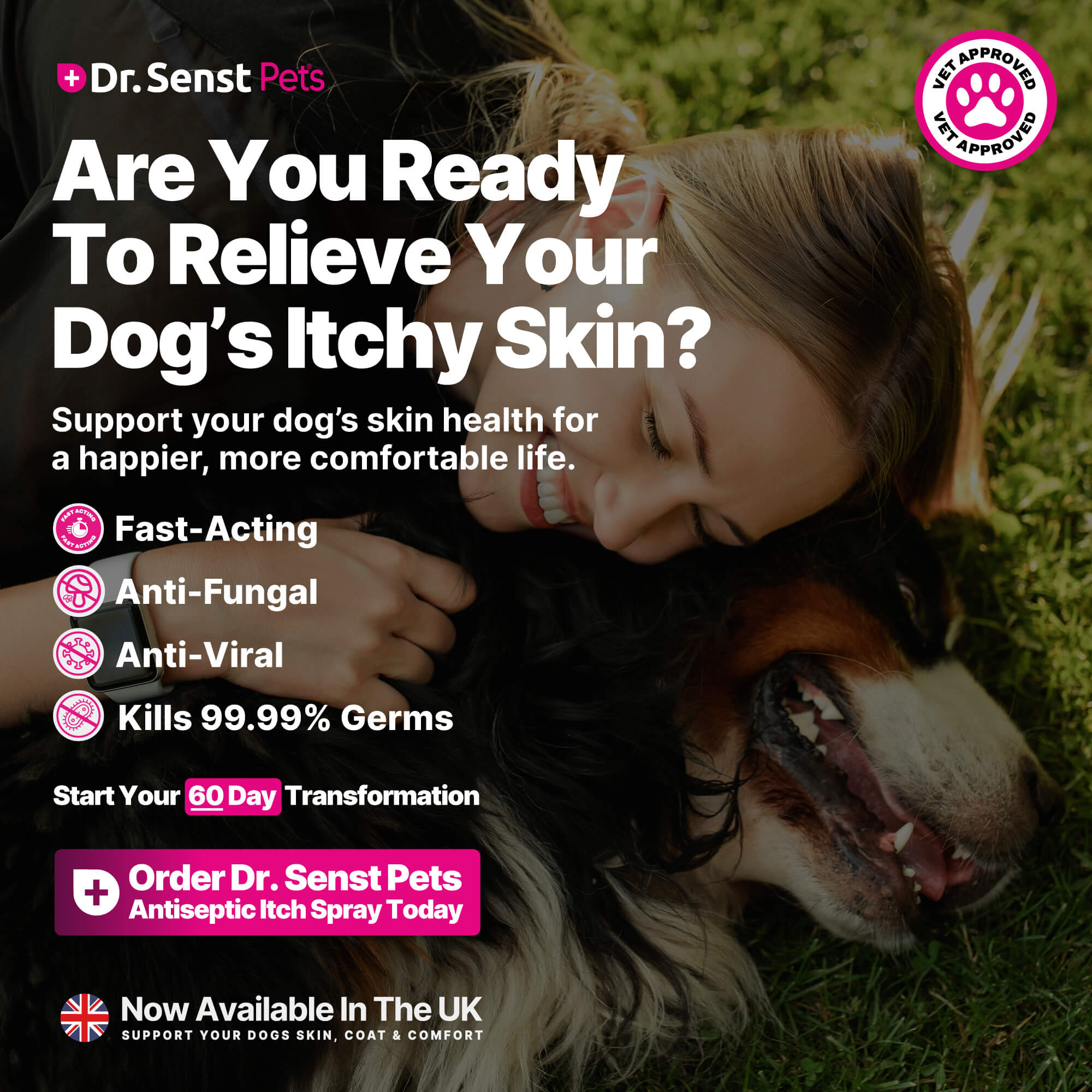 itchy skin dog remedies