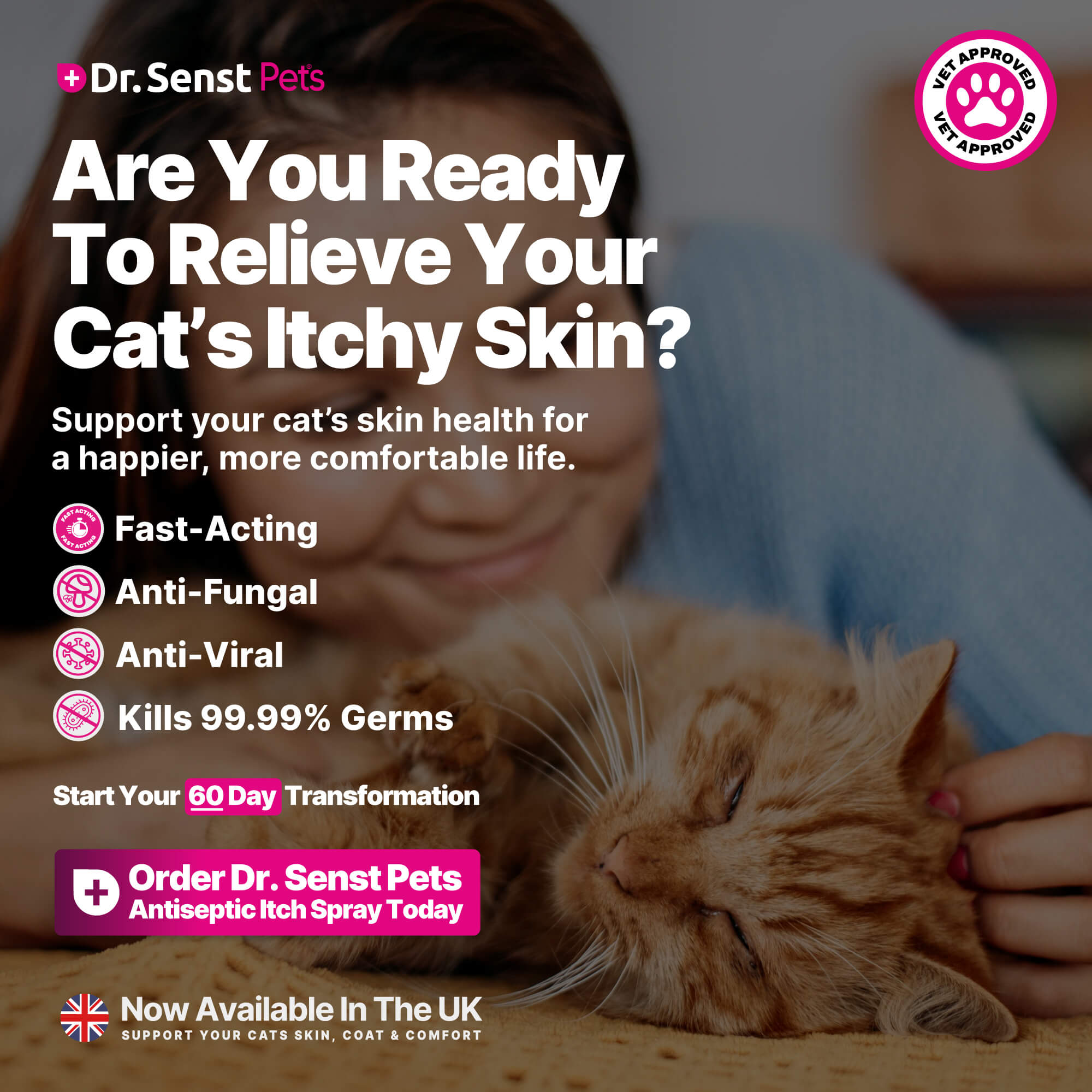 cat skin irritation treatment