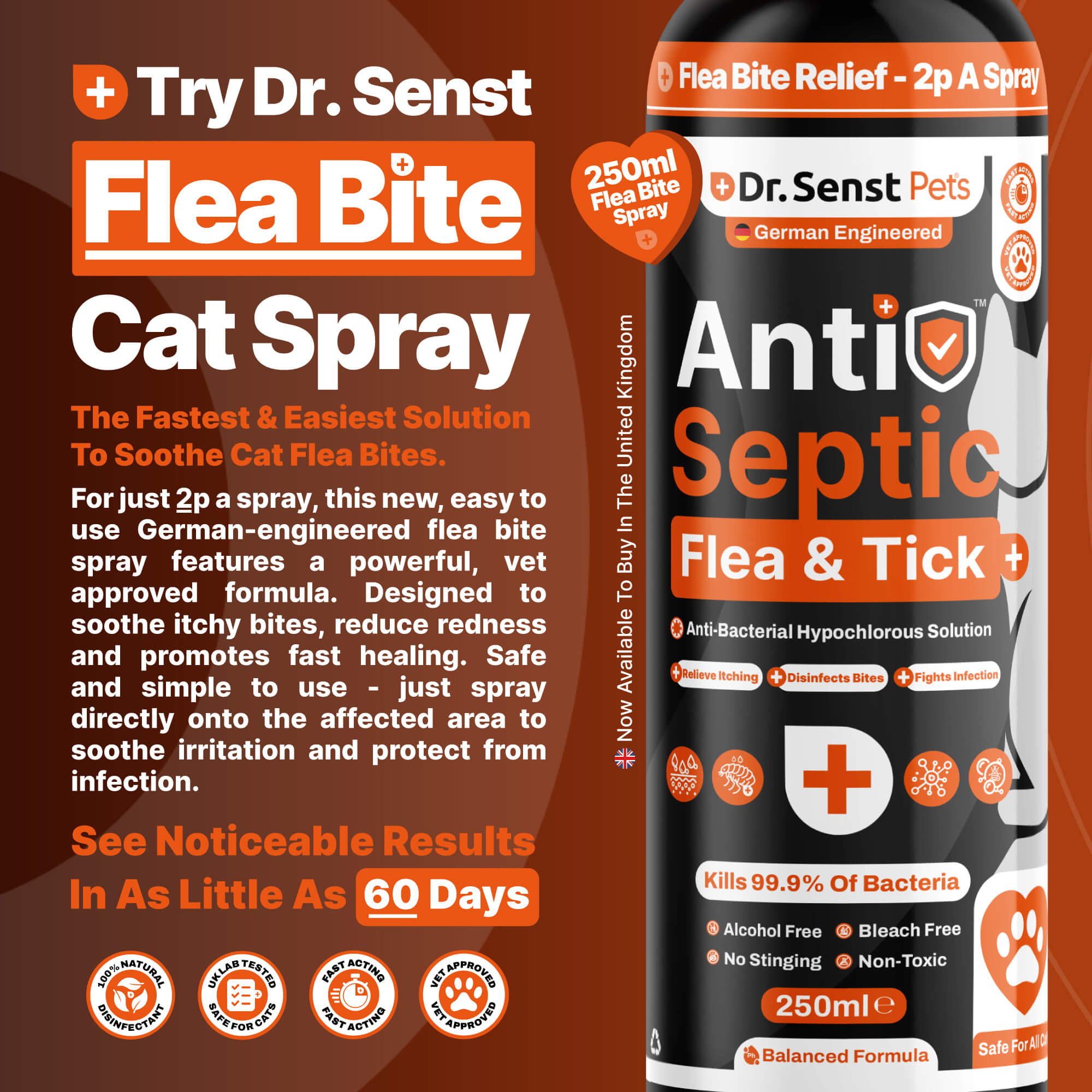 flea and tick treatment for cats