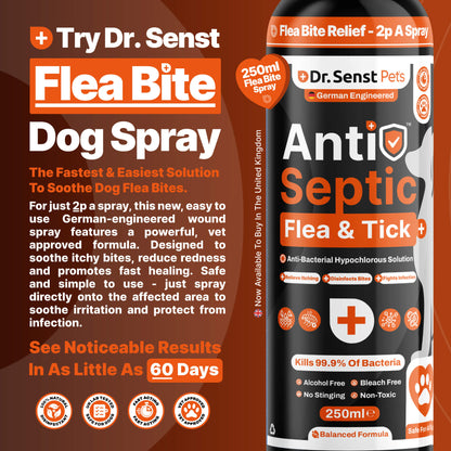 natural flea treatment for dogs