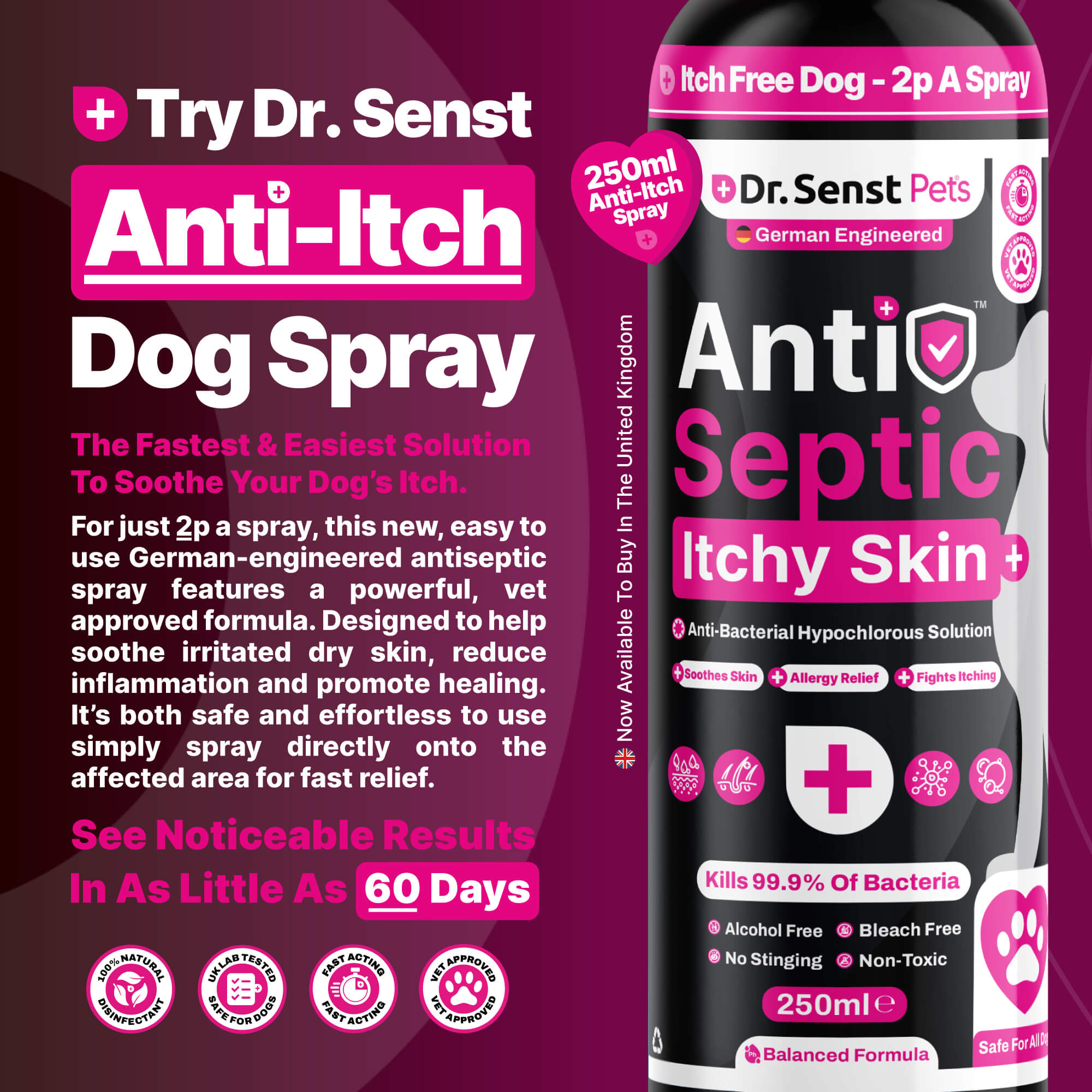 anti itch for dogs