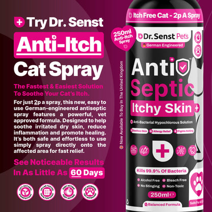 itch remedies for cats