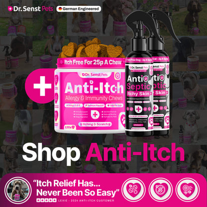 dog anti itch