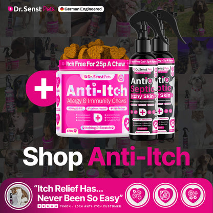 itch relief for cats