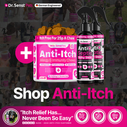 dog anti itch