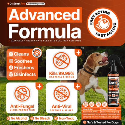 dog flea treatment spray