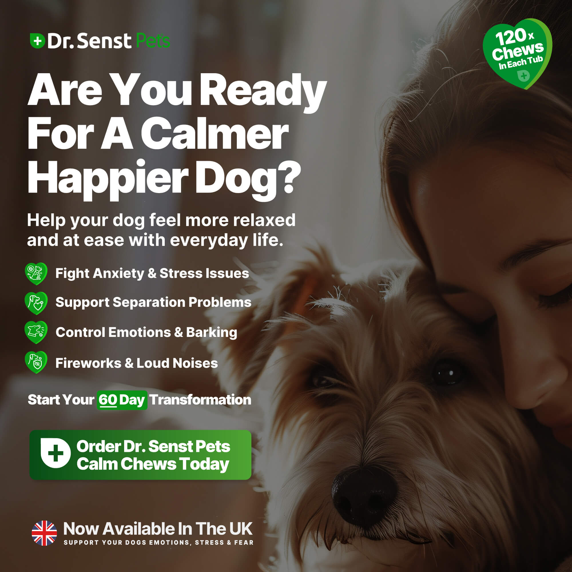 calming treats for dogs