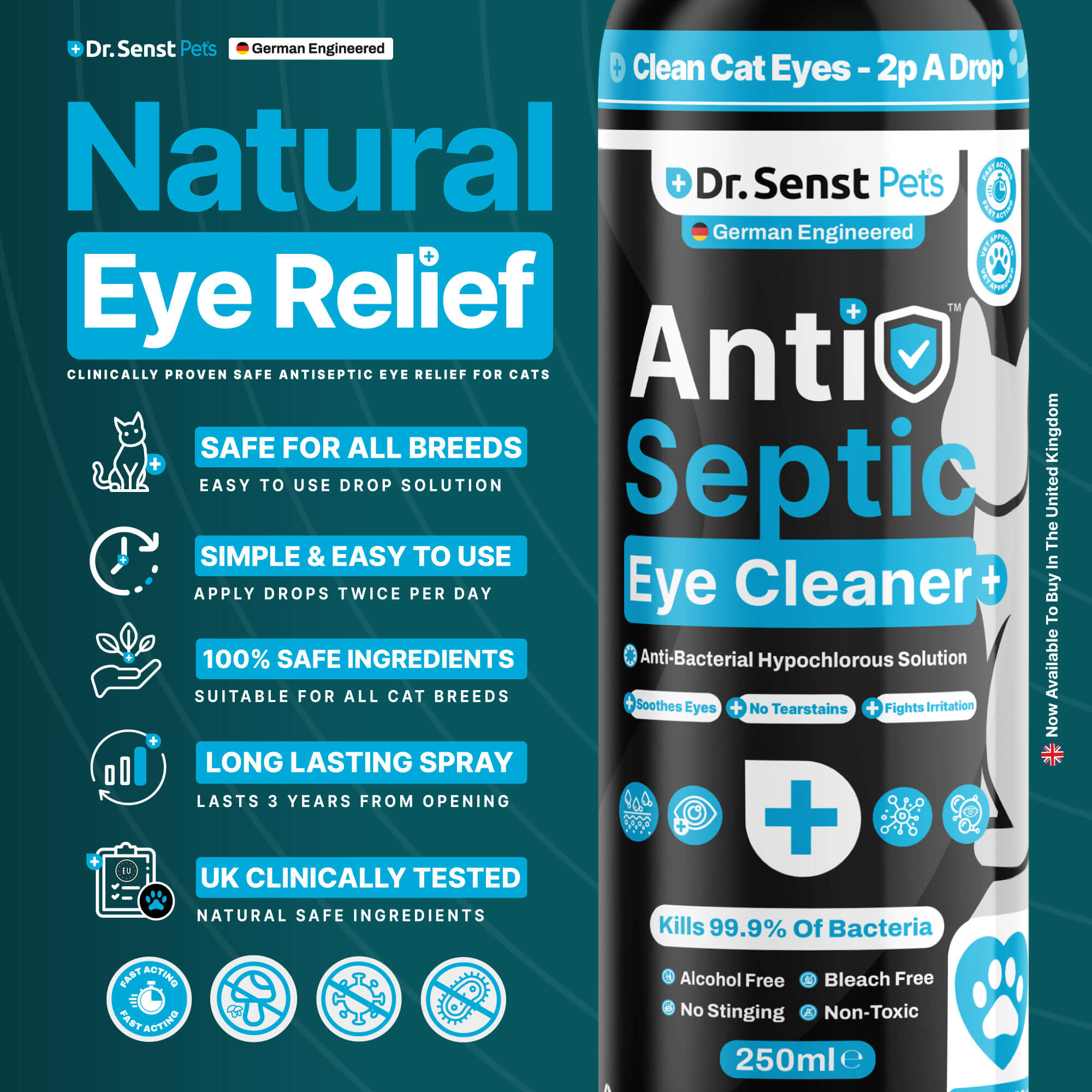 antiseptic cat eye infection treatment