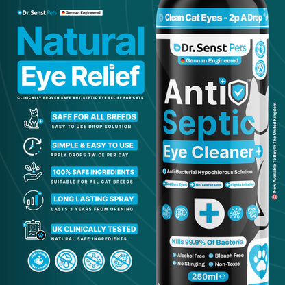 antiseptic cat eye infection treatment