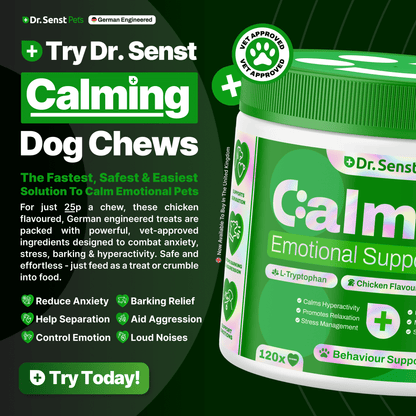 dog calming