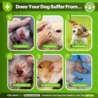 antiseptic dog ear drops