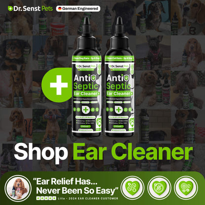 dog ear drops for infection