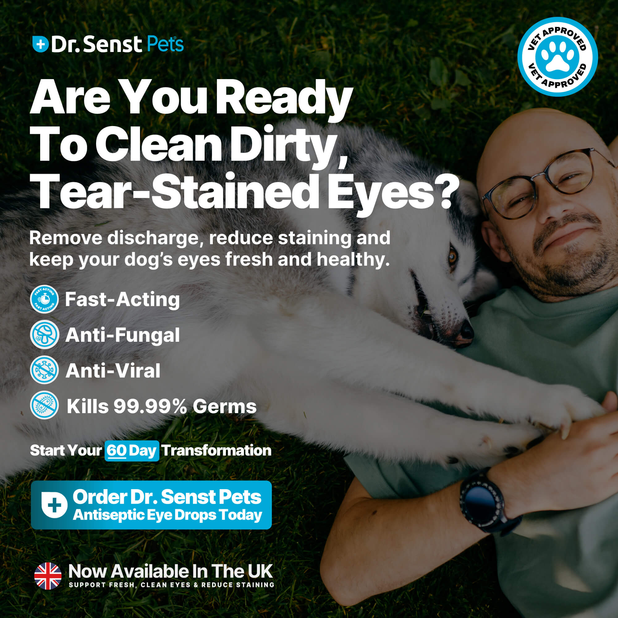 eye care for dogs