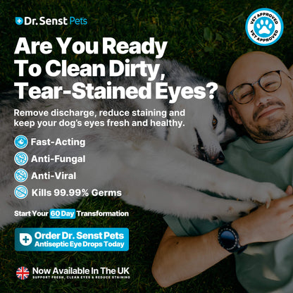 eye care for dogs