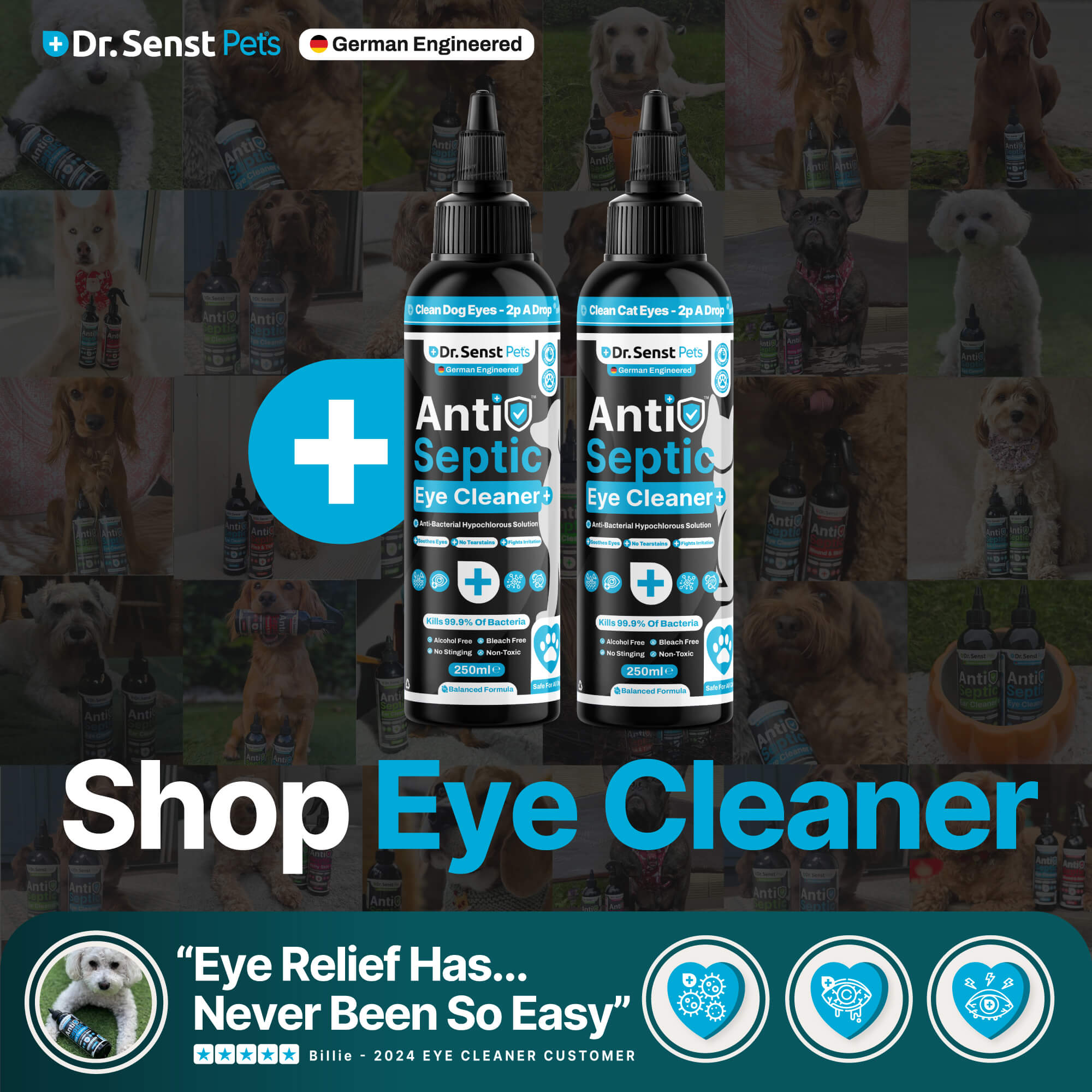 eye cleaner for dogs