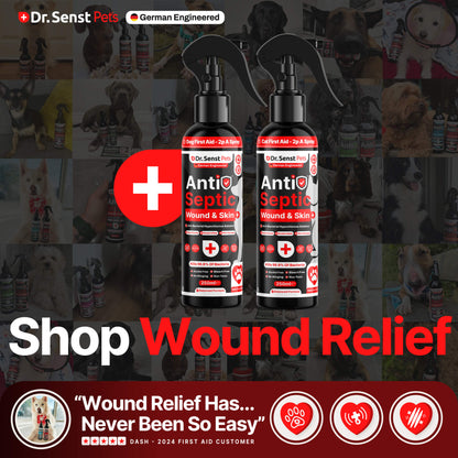 dog wound cream