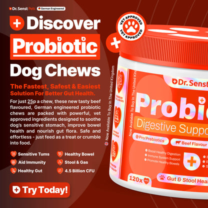 dog probiotic