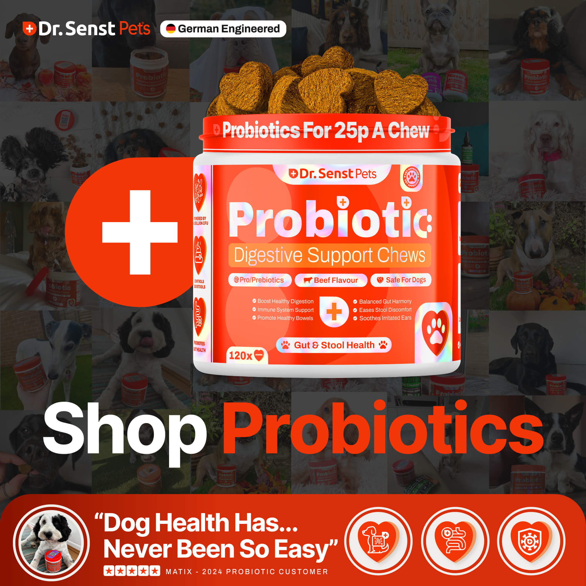 probiotics for dogs gut health