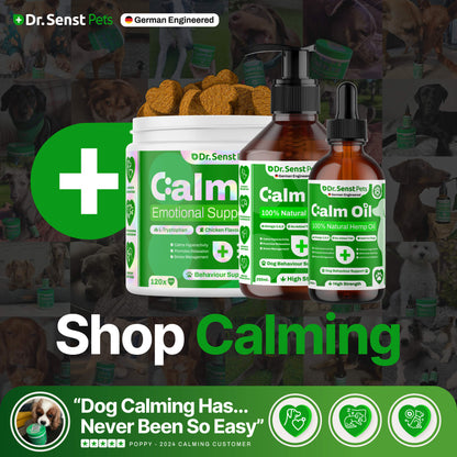 calm treats for dogs