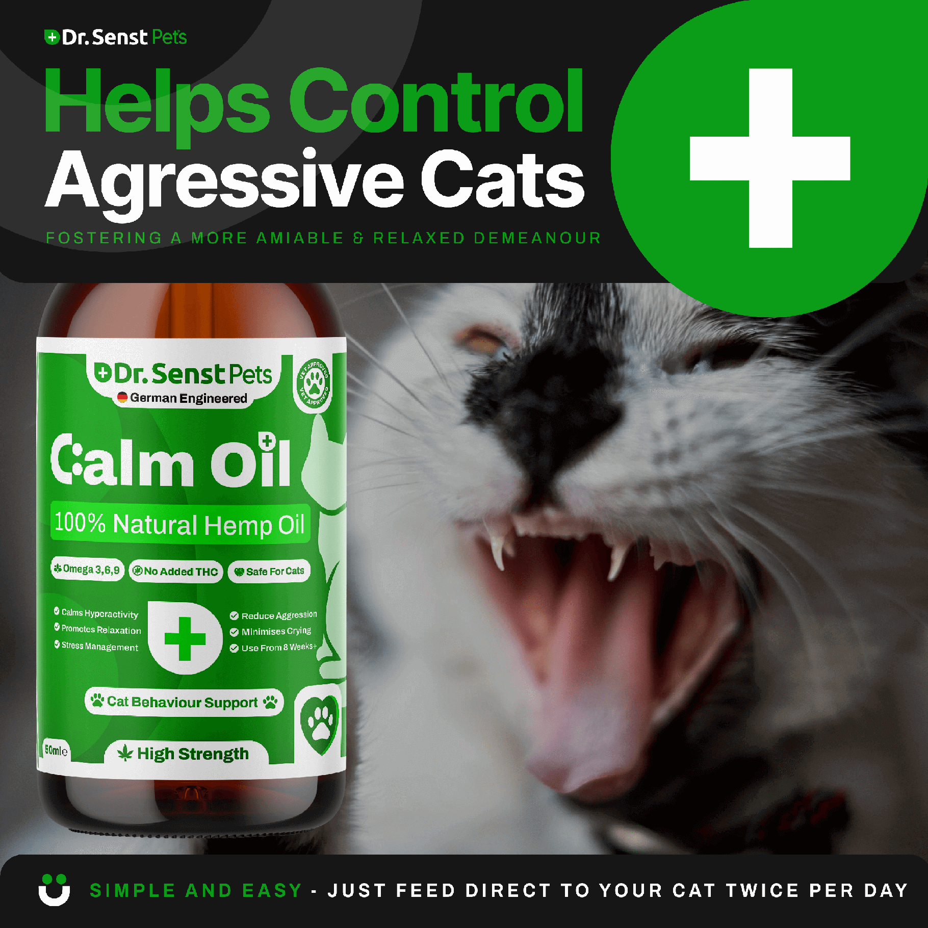 Calming medication for cats best sale