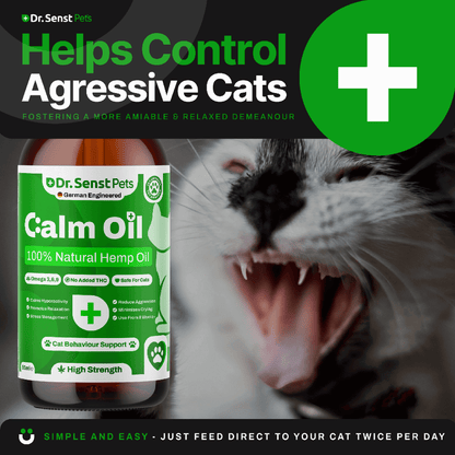 cat calming medication