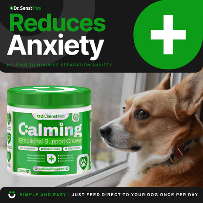 uk dog calming 