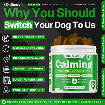 calm dogs treats