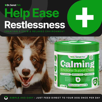 dog calming  chews