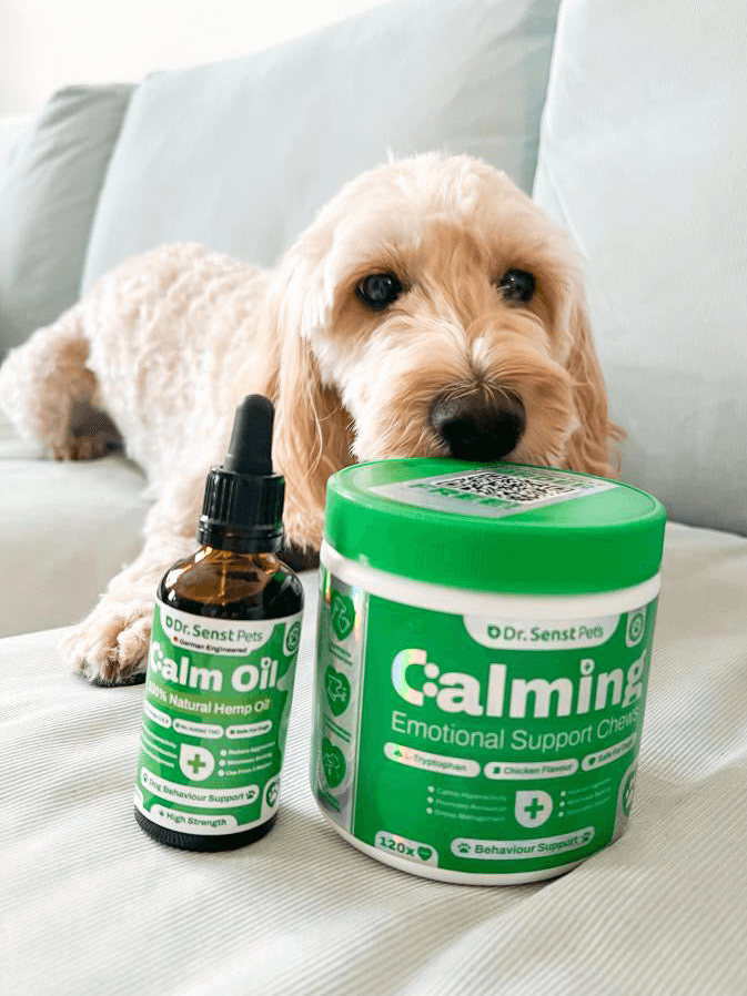 dog calming supplements dr senst pets 