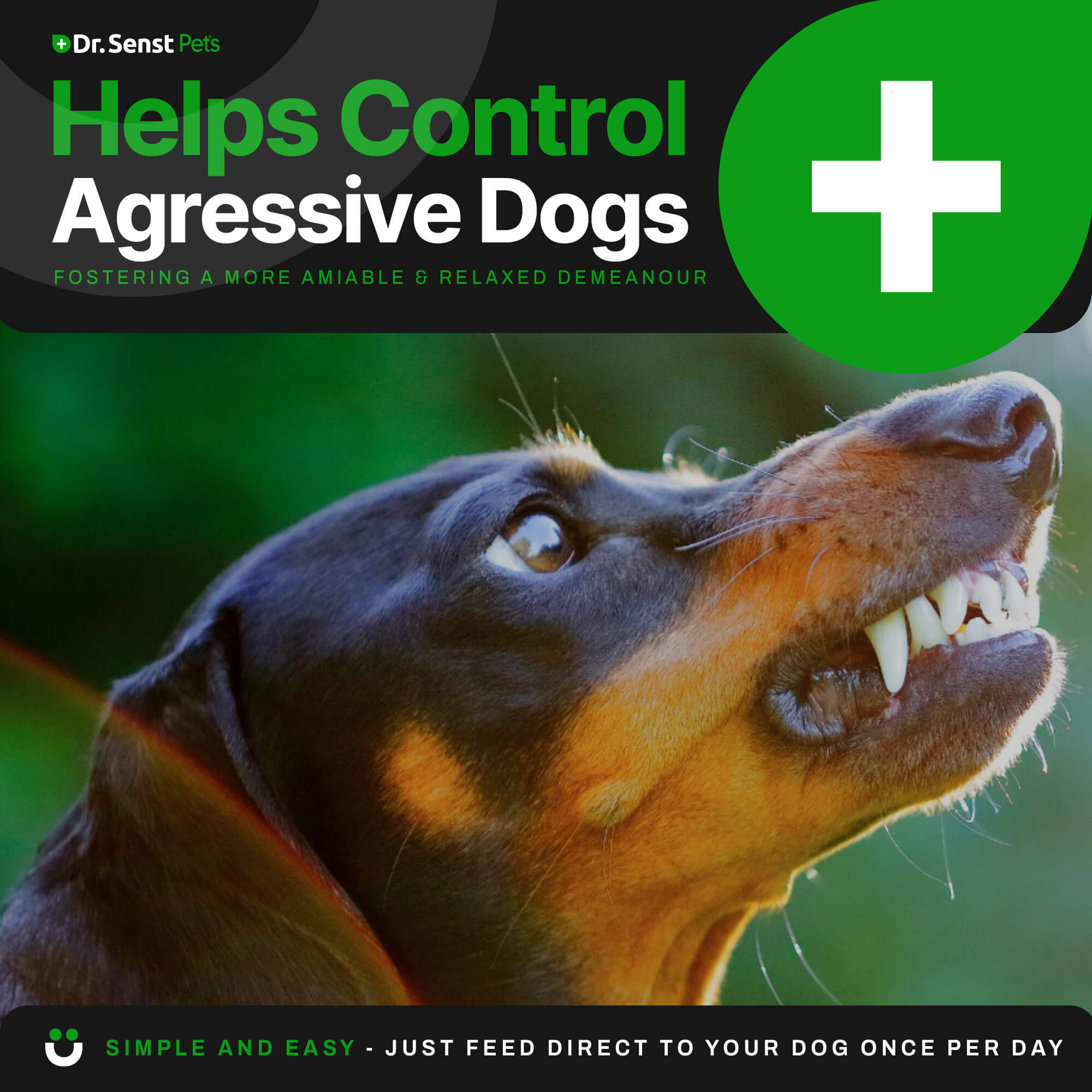 dog calming  chews uk