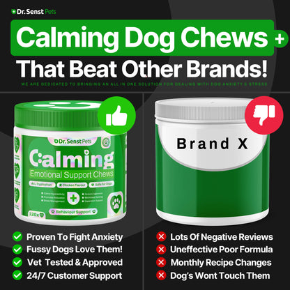 calm dog relief uk