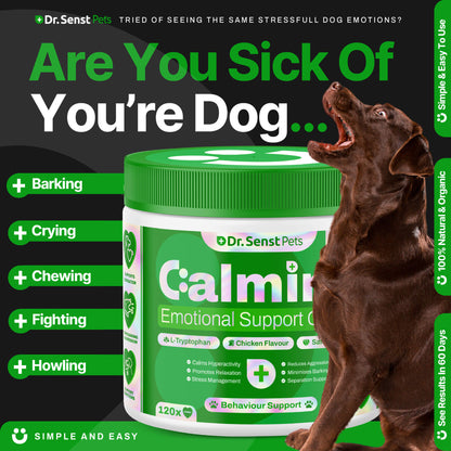 calm dogs uk