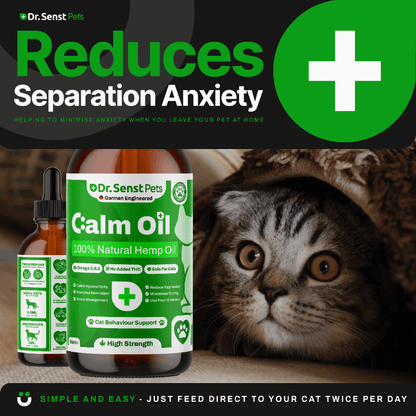 cat calming relief