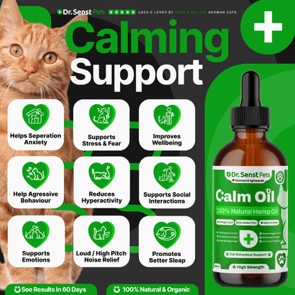 cat calming oil