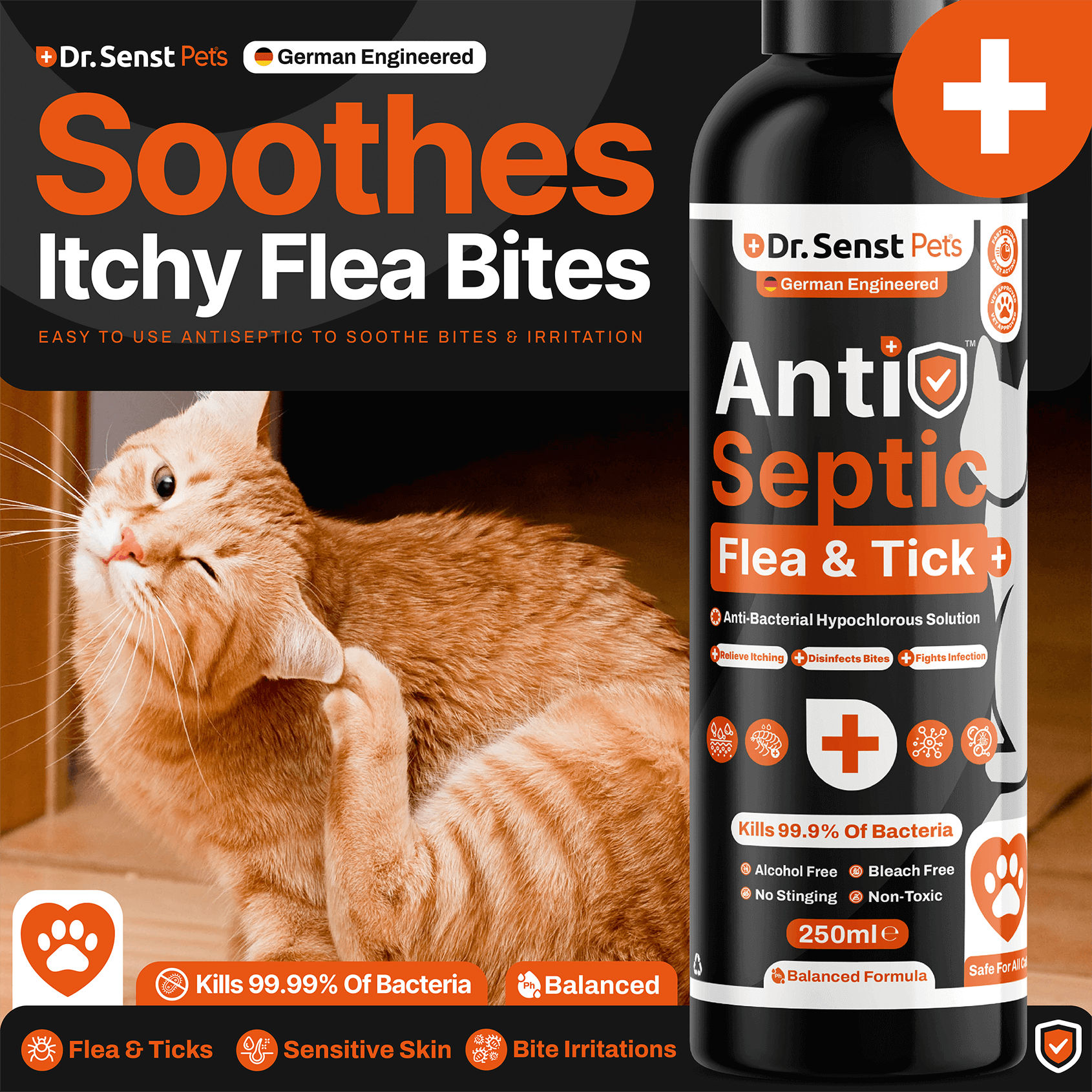 cat flea treatments