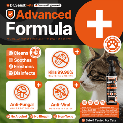 uk cat flea treatments support