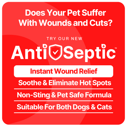 dog wound relief uk