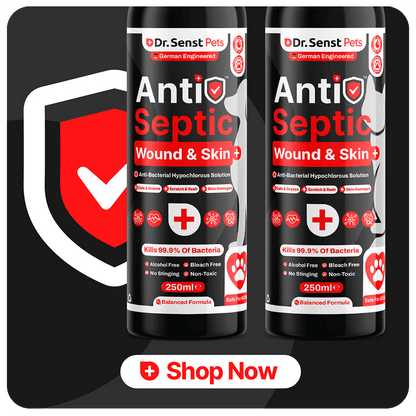 antiseptic dog wound relief