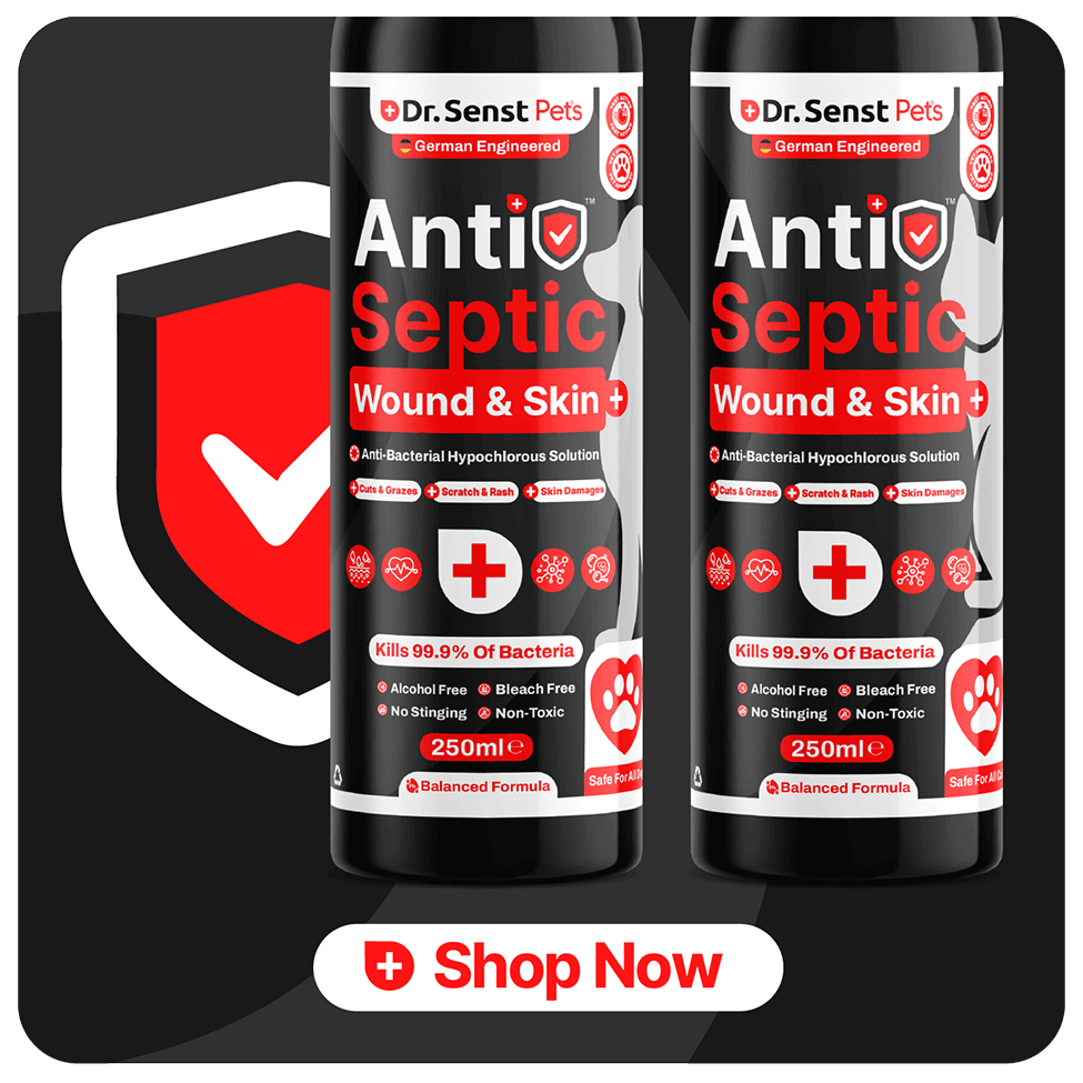 antiseptic dog wound relief