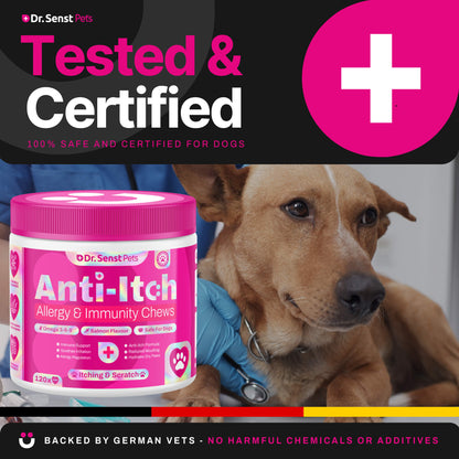 itchy dog skin treatment