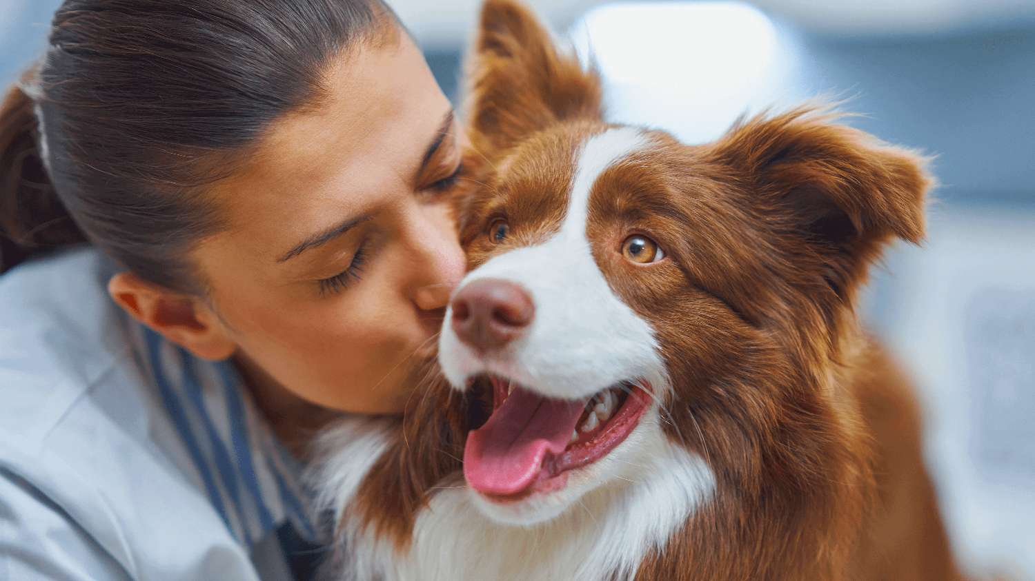 dog treats calming uk