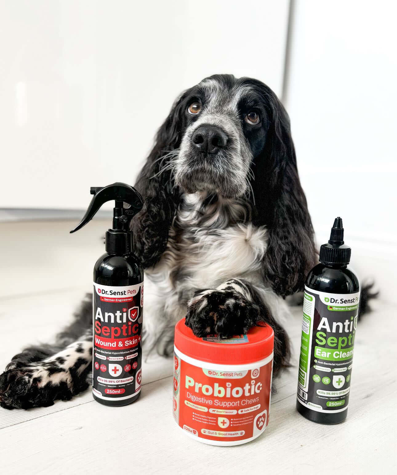 dog supplements 